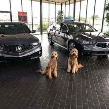 Bonnie & Kygo