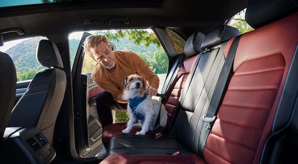 A man is shown taking his dog out of the back seat of a 2022 Volkswagen Atlas Cross Sport.
