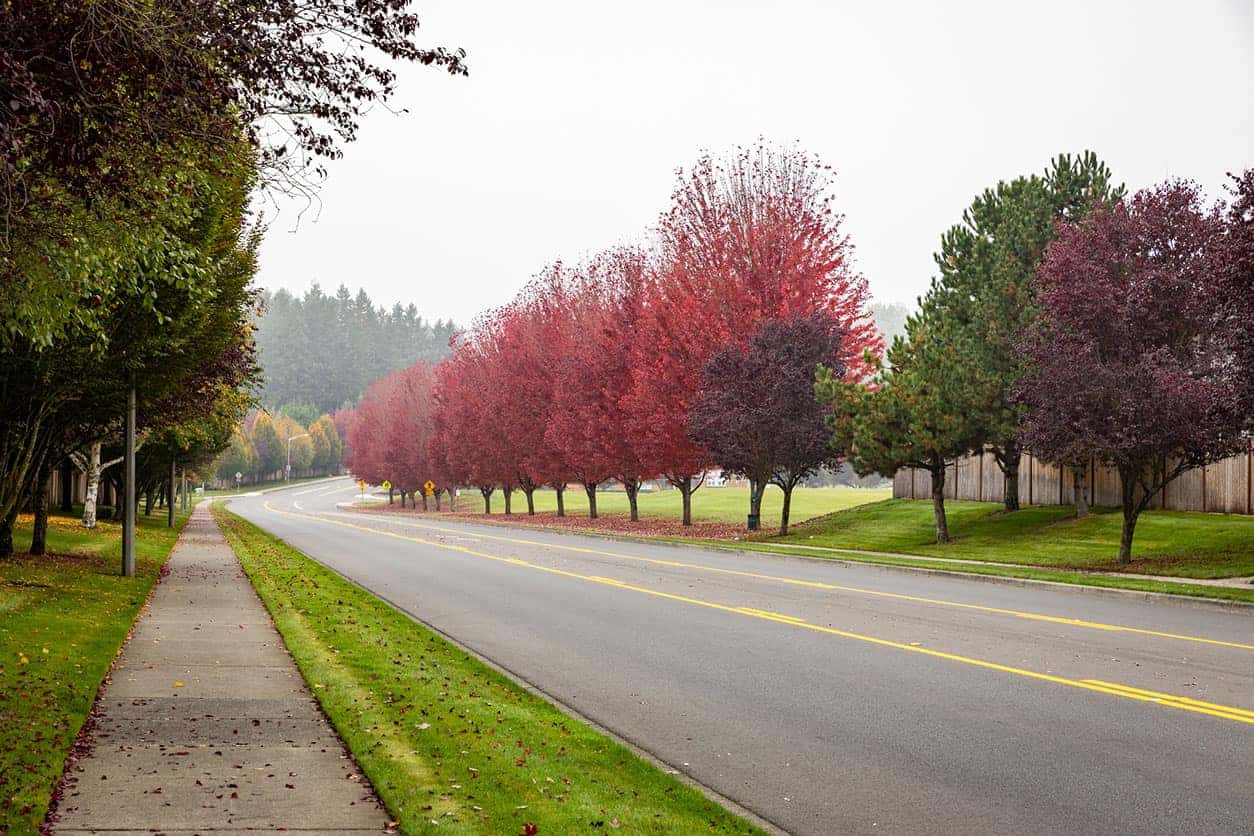 street near puyallup washington