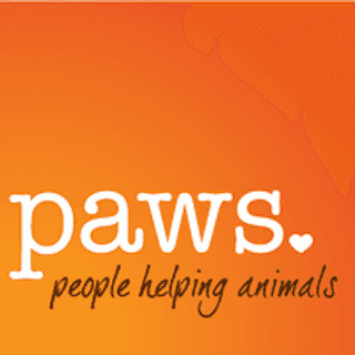 Paws logo