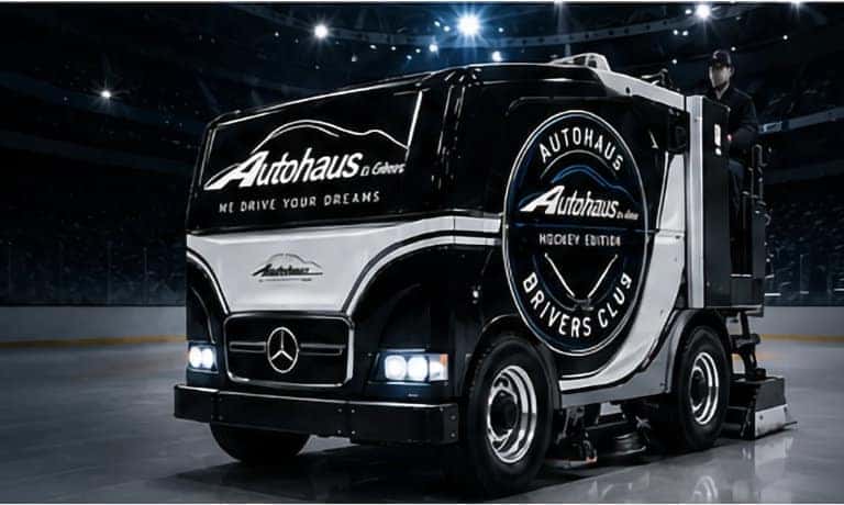 Zamboni Small Image