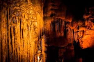 Mammoth Cave 4/12/22