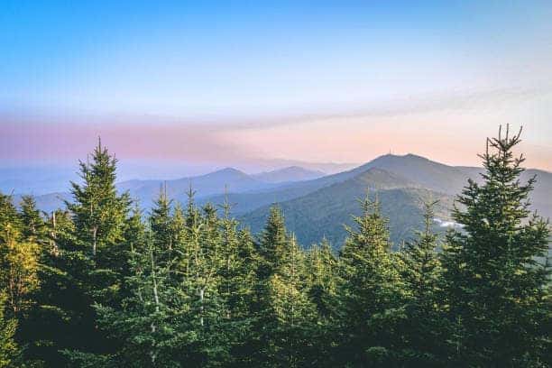 Mt. Mitchell View