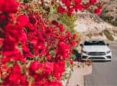 Discover 3 Mother’s Day Activities To Do This Year