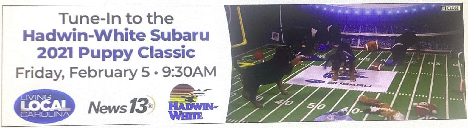 puppy bowl
