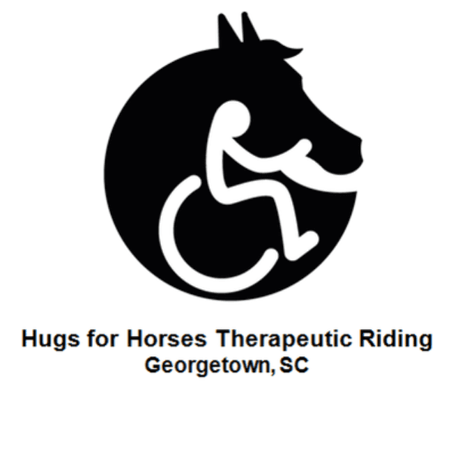 hugs for horses