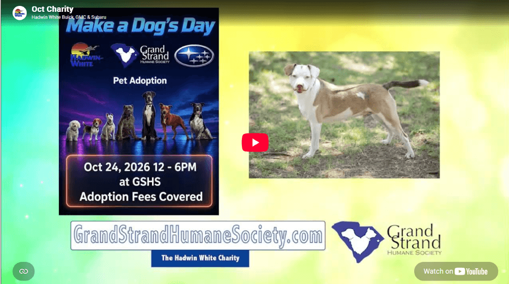 placeholder image for video, click image and video will play