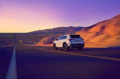 2025 Acura ADX driving on road