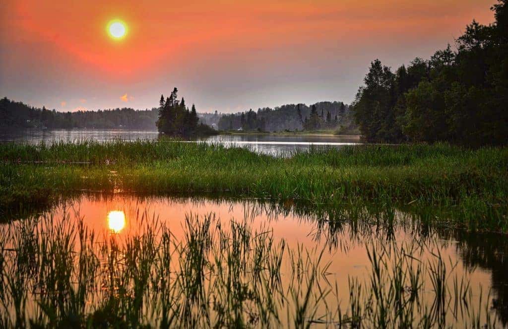 sunset swamp