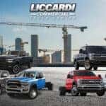 Liccardi-Commercial-Photo