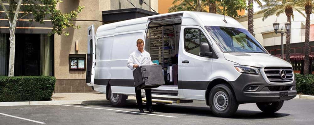 mercedes benz luxury van