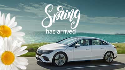 Spring has arrived