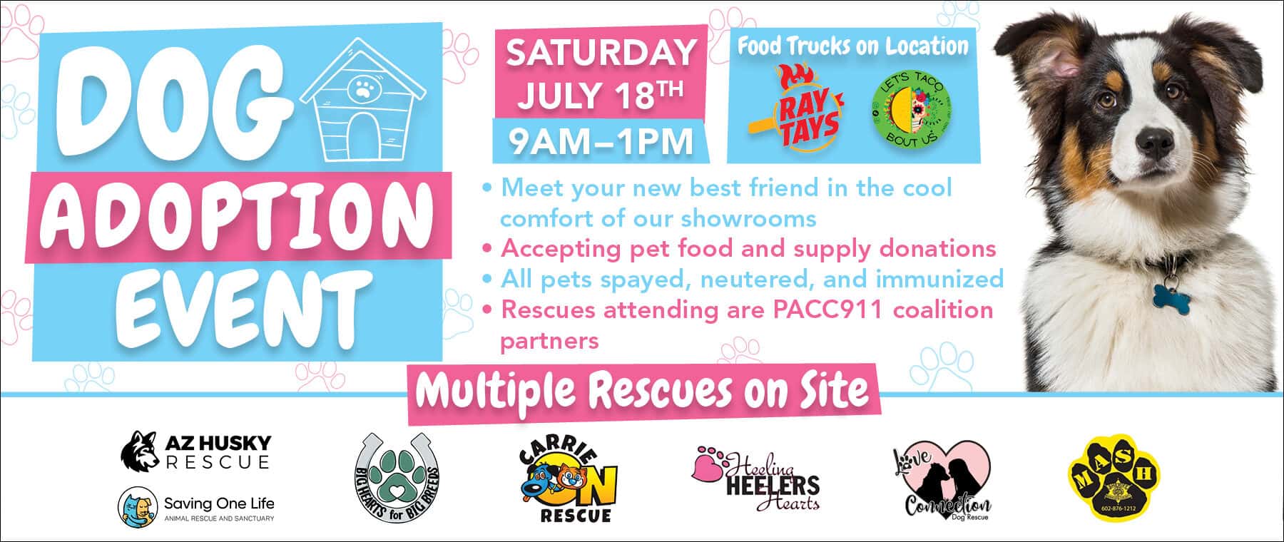 Dog Adoption Event