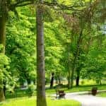 park in spring
