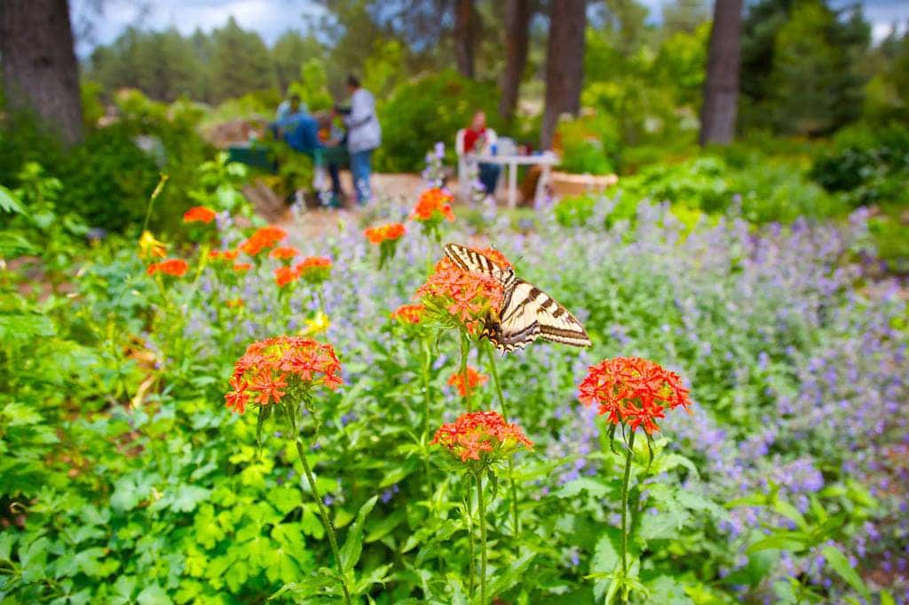 The Arboretum at Flagstaff AZ