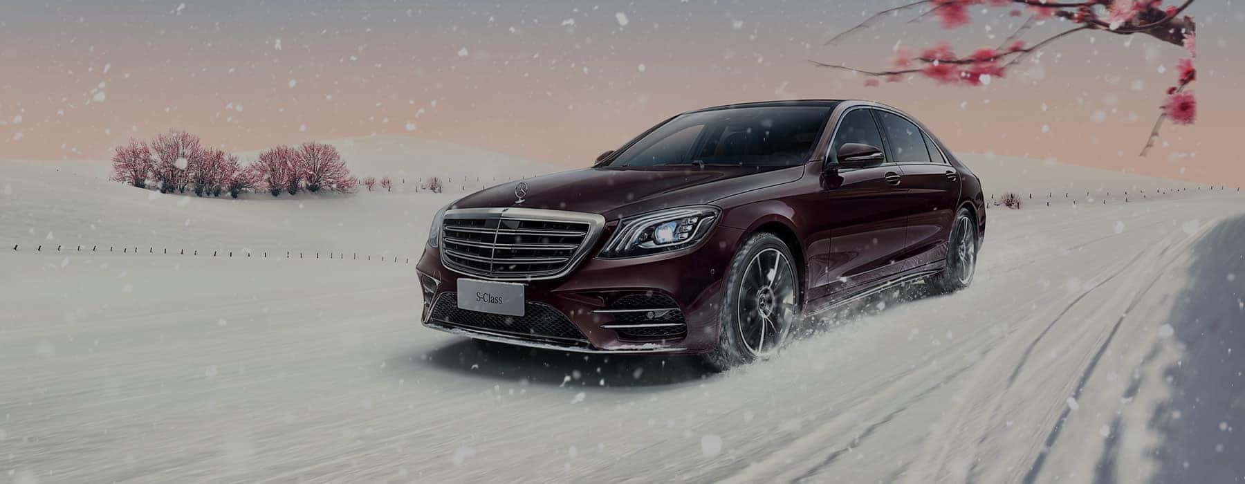 Mercedes Benz Markham Staff Mercedes Benz Markham Staff