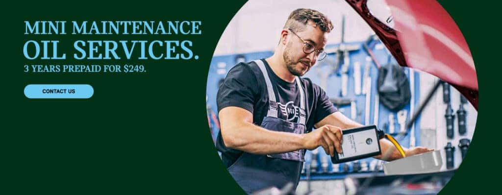 maintenance oil program