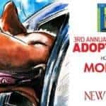 Morgan Auto Group Just One Day Pet Adoption Event