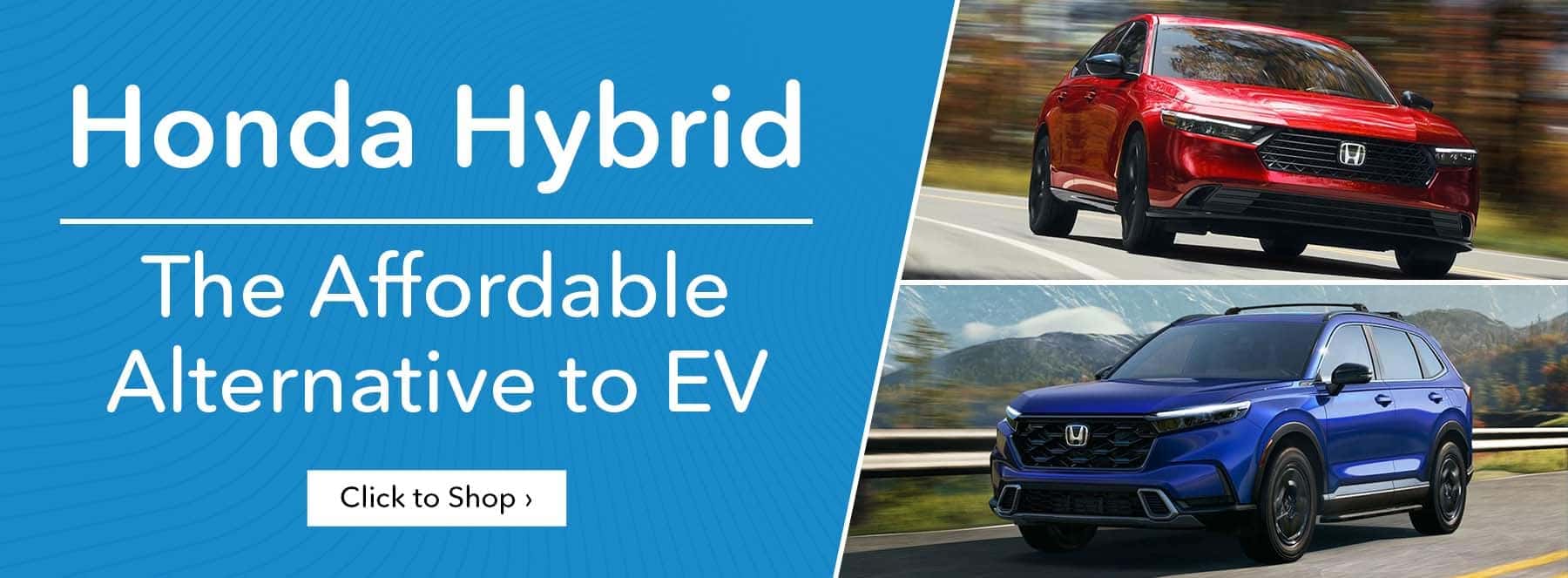 The Affordable Alternative to EV