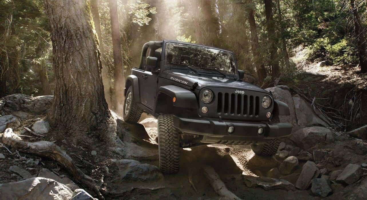 2017 Jeep Wrangler Rubicon in Woods