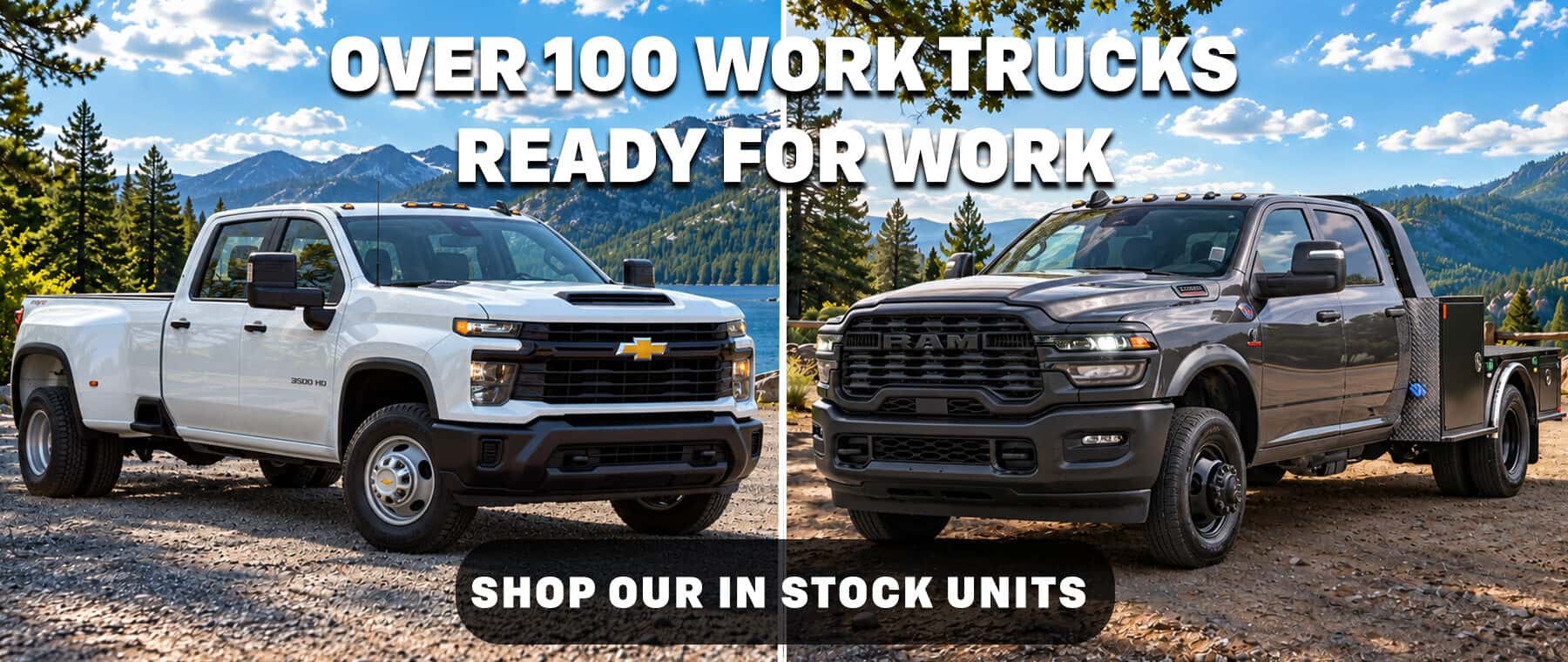 COMMERCIAL OCT