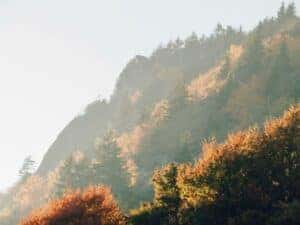 Grandfather mountain in North Carolina