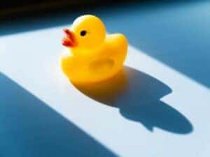 Rubber duck