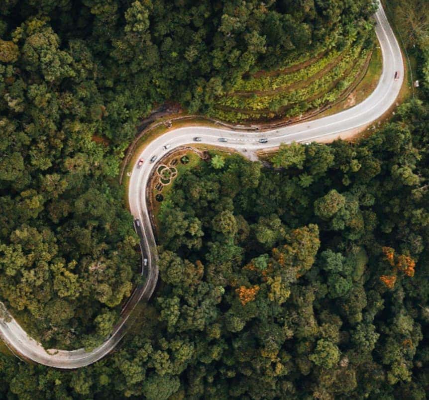 Aerial view of a winding road