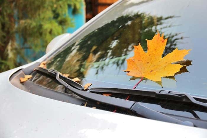Schedule Toyota Service For Fall In Chula Vista Toyota Chula Vista