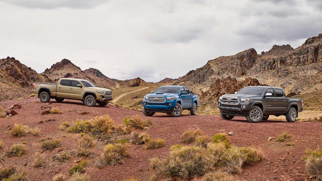 Toyota Cars
