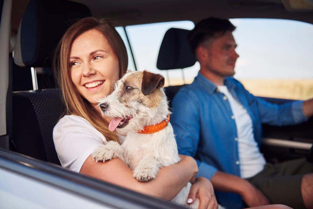 Couple with Dog on Road Trip