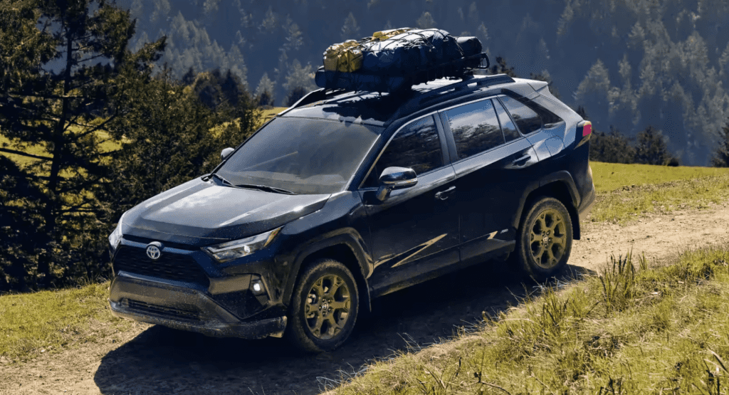2023 Toyota RAV4 in Nature